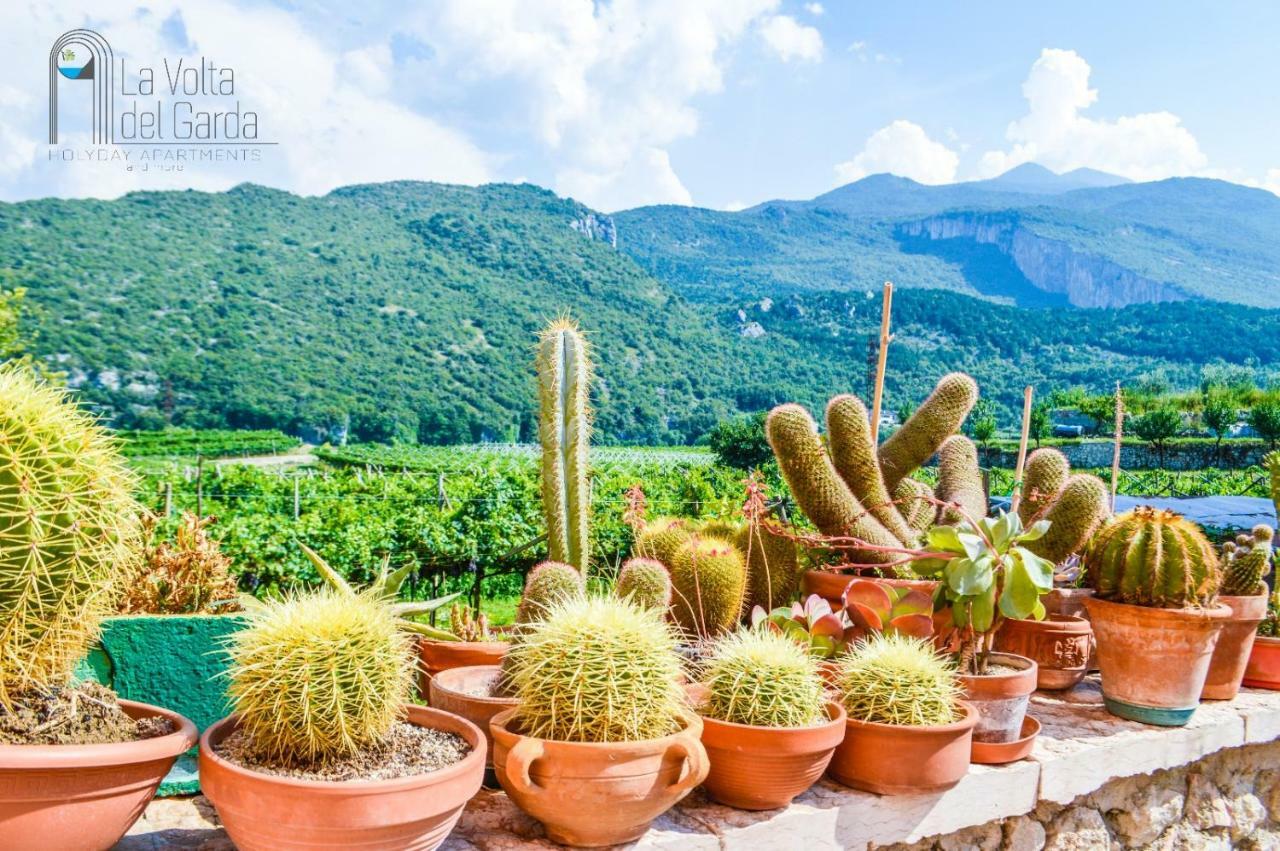La Volta Del Garda Appartement Torbole Sul Garda Buitenkant foto